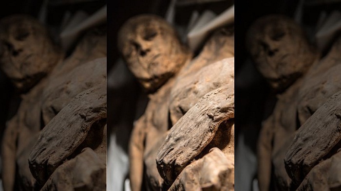 Smallpox found in Lithuanian mummy could rewrite virus` history 